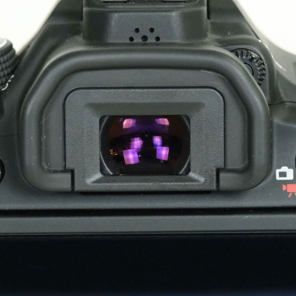 Canon EOS 80Dの出品 | ONE SCENE（ワンシーン）