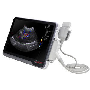 手持ち式動物用超音波検査 - 全ての医療製品メ－カ－