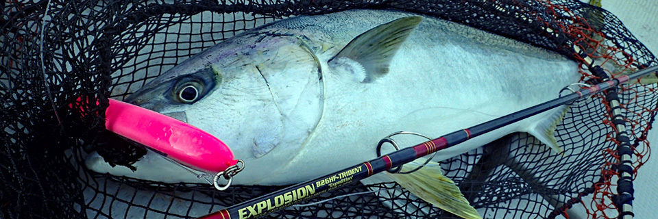 MC WORKS' Explosion EX855HF-T Casting Rod