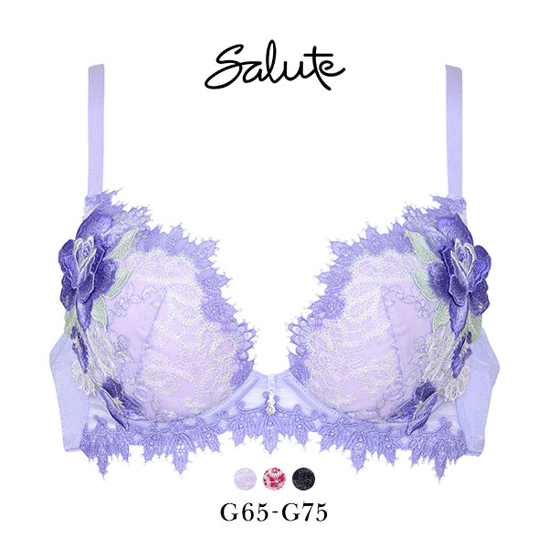 ワコール Wacoal サルート Salute 40周年 84G 23SS BTJ484 VIVA LINE