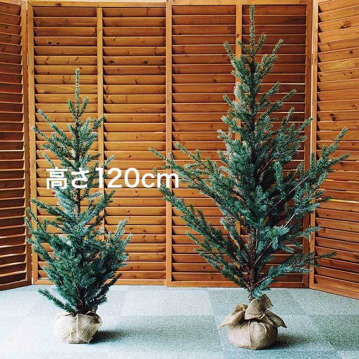 クリスマスツリー120cm＜特典付き＞ (クリスマスツリーヒャクニジュウ