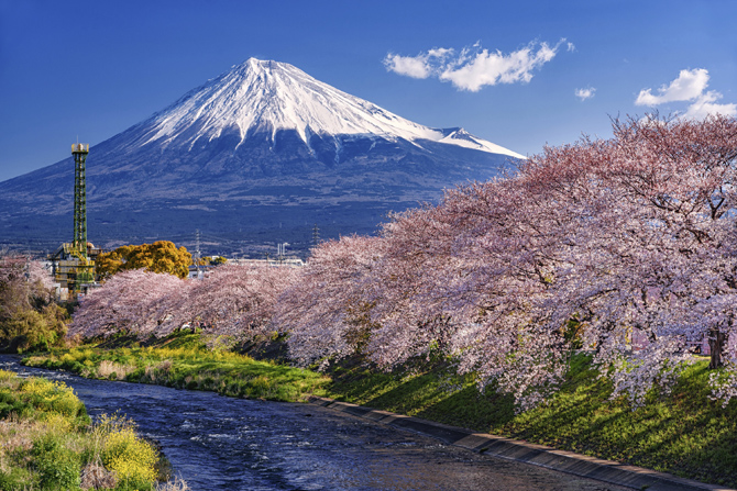 富士山と桜が眺められる絶景スポット8選！2026年の見頃情報も＜山梨