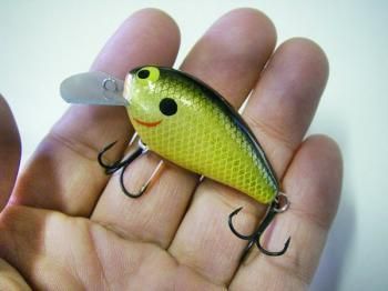 モリケンスピードバイト Dr.Knight/ドクター・ナイト コンペティション