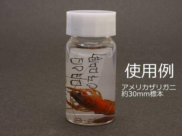 液浸標本作製用ねじ口瓶 - 昆虫採集・昆虫標本用品【昆虫販売館