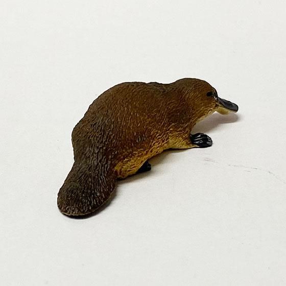 いきもん ネイチャーテクニカラー400 オーストラリア カモノハシ