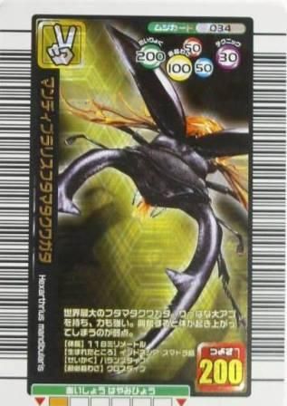 甲虫王者 ムシキング 金レア No.1 マンディブラリスフタマタクワガタ