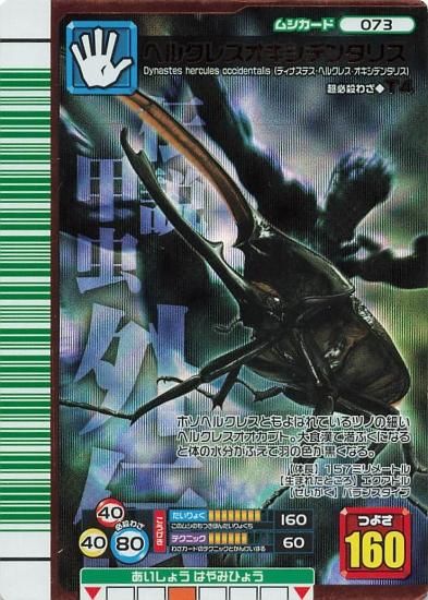 甲虫王者ムシキング 2007ファースト ヘルクレスオキシデンタリス 073