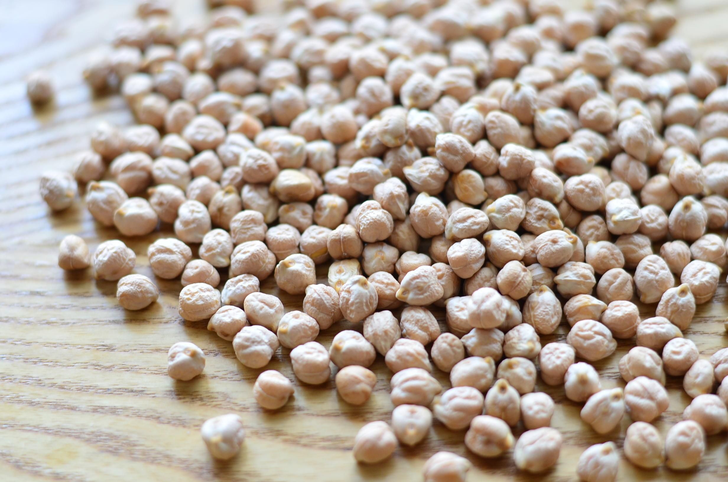 北海道産ひよこ豆｜希少な国産｜通販販売｜築地の豆屋三栄商会