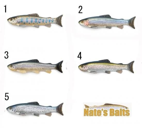Nate's Baits/ Line Through Trout - Knoxville Online Shop