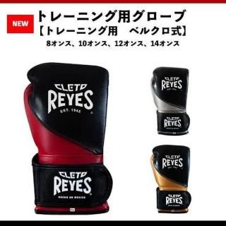 レイジェス(reyes) トレーニング用グローブ【スパーリング