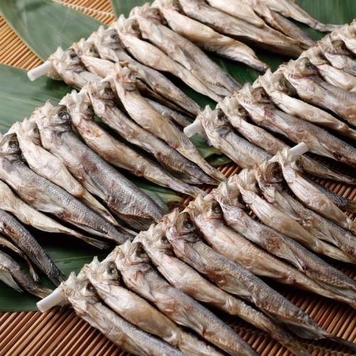 一夜干し本ししゃも（オス・メス込）＜40尾入＞【送料無料(沖縄県除く