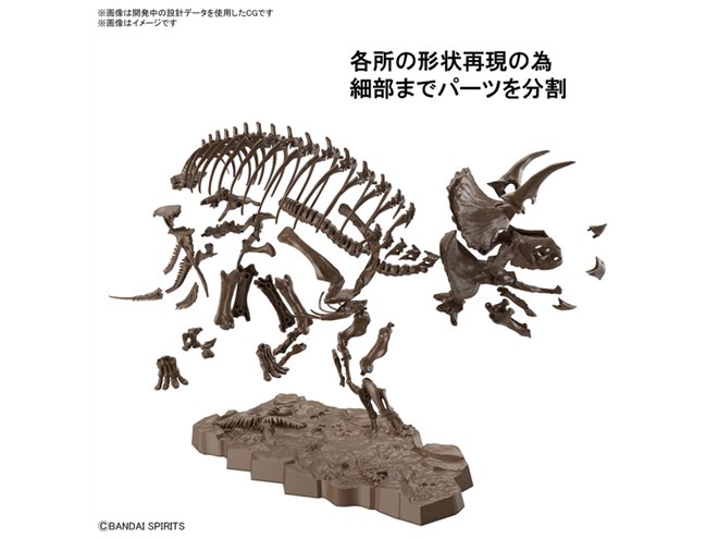 正統派骨格モデル「Imaginary Skeleton」第2弾はトリケラトプス、7/23
