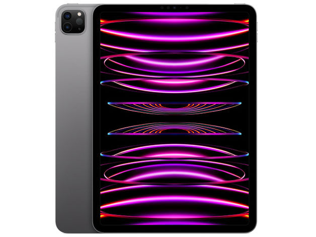 Apple iPad Pro 11インチ 第4世代 Wi-Fi 2TB 2022年秋モデル MNXM3J/A