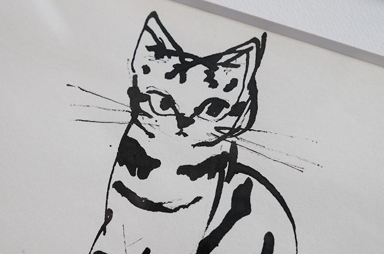 保護猫ドローイング作品「Cat drawing 2024.Jan.6(子猫 全身
