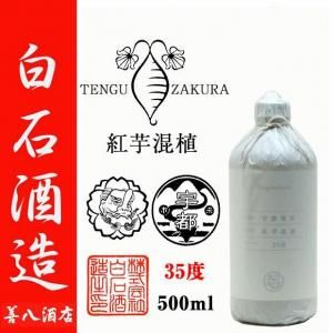 天狗櫻 ジョイホワイト 2023年製 中原地区 《芋焼酎》 てんぐざくら 36