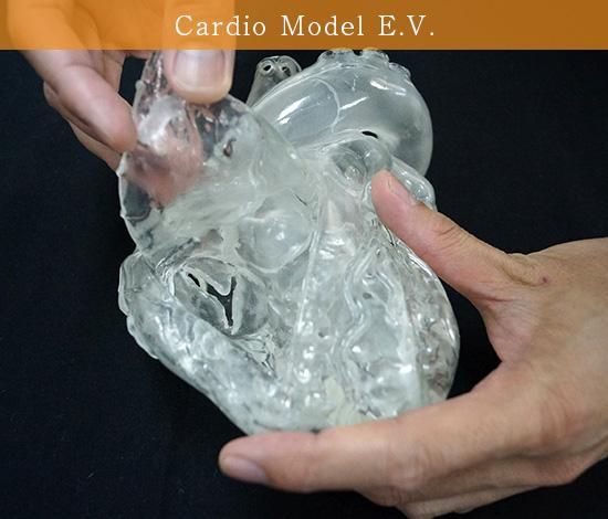 Cardio Model E.V. : 透明（XC-04T）_購入 | 株式会社クロスメディカル