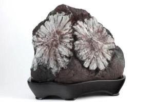 根尾谷産 菊花石 2.6kg｜国産 原石 通販のキラリ石