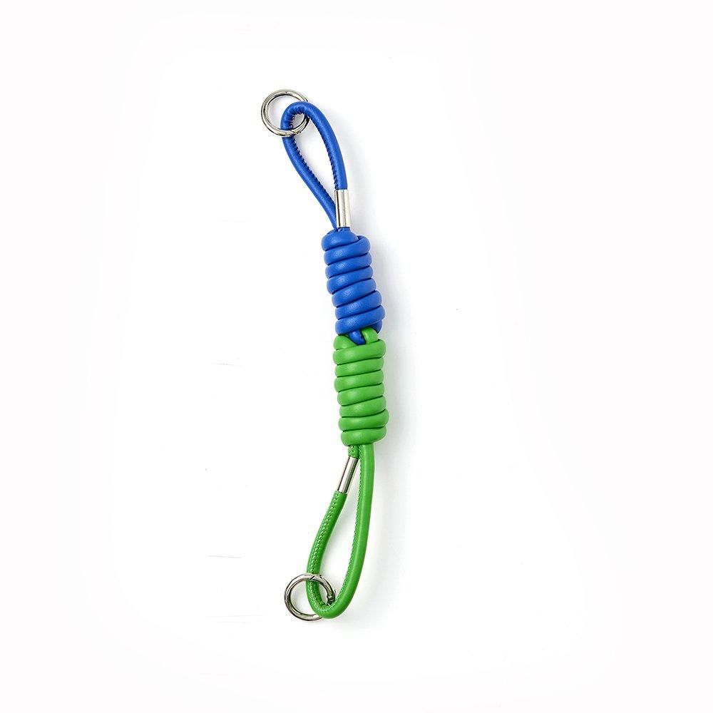Coil strap | cobalt×green - ajew