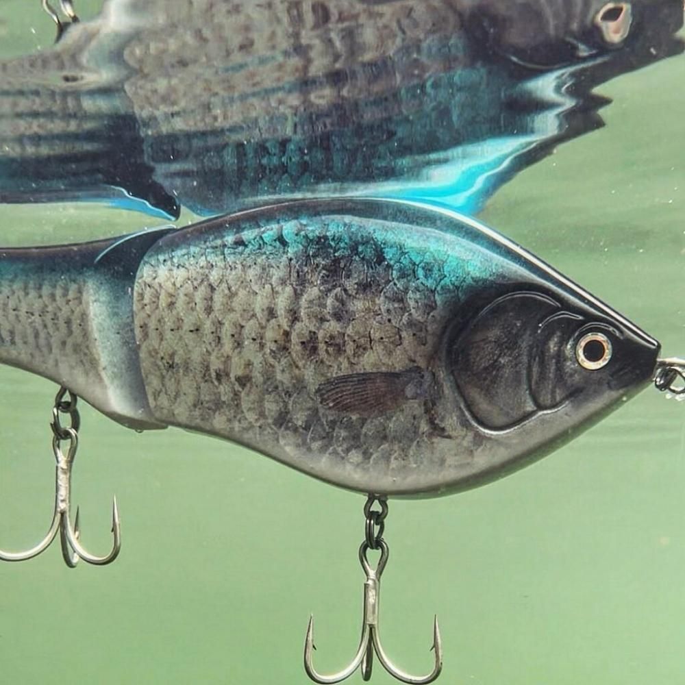 ロマンメイド/夢大 - ムダイ - - HONEYSPOT