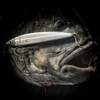 RST SUPPLY - HEAD & TAIL Web Shop