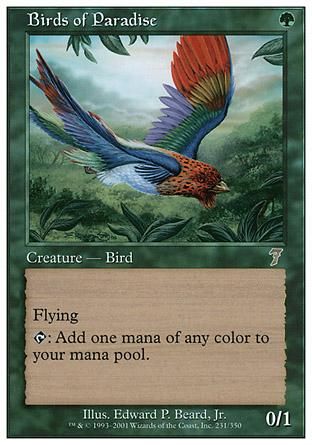 極楽鳥/Birds of Paradise - マジック：ザ・ギャザリング（MTG）の通販