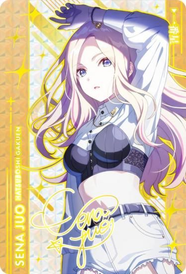 箔押しホログラム仕様] 十王星南(一番星)】 カードダス CarddassS＋