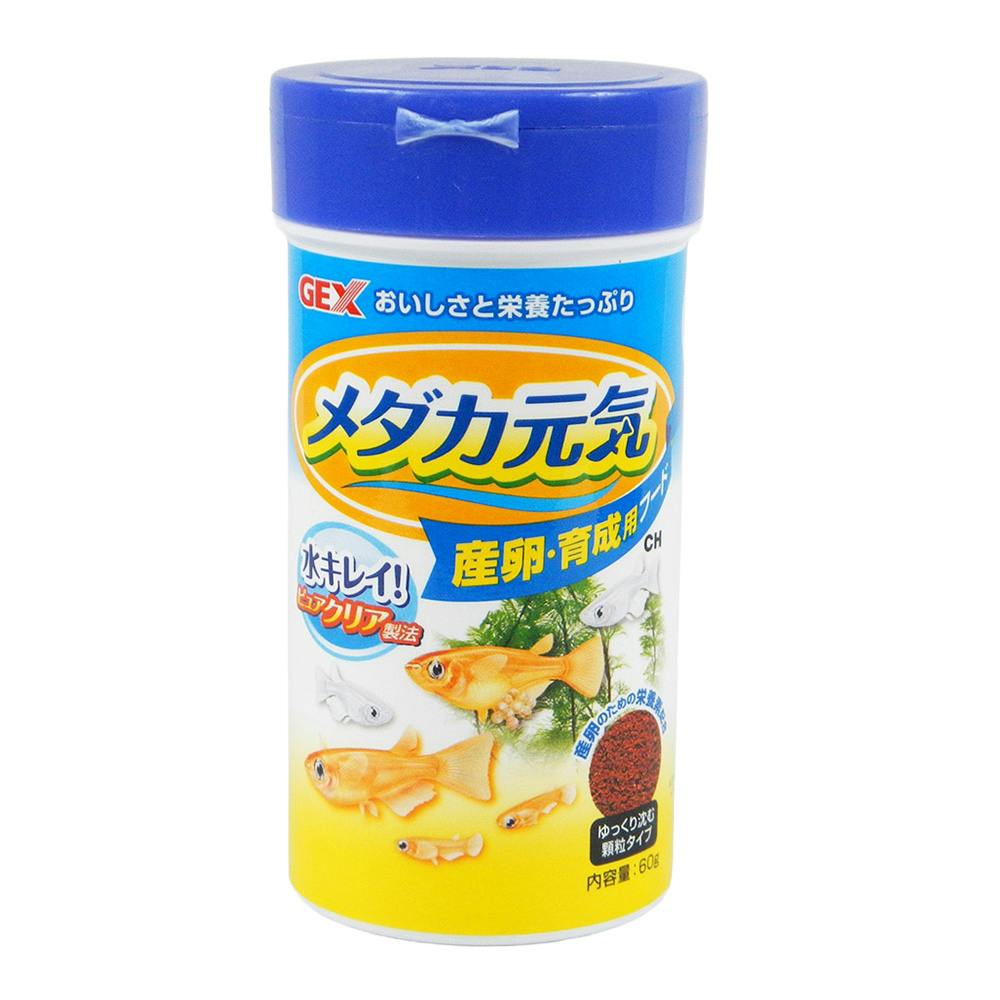 GEX メダカ元気 産卵・育成用フード 60g | 水中生物用品・水槽用品