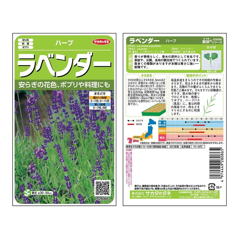 ラベンダー | 花＆グリーン 通販 | ホームセンターのカインズ
