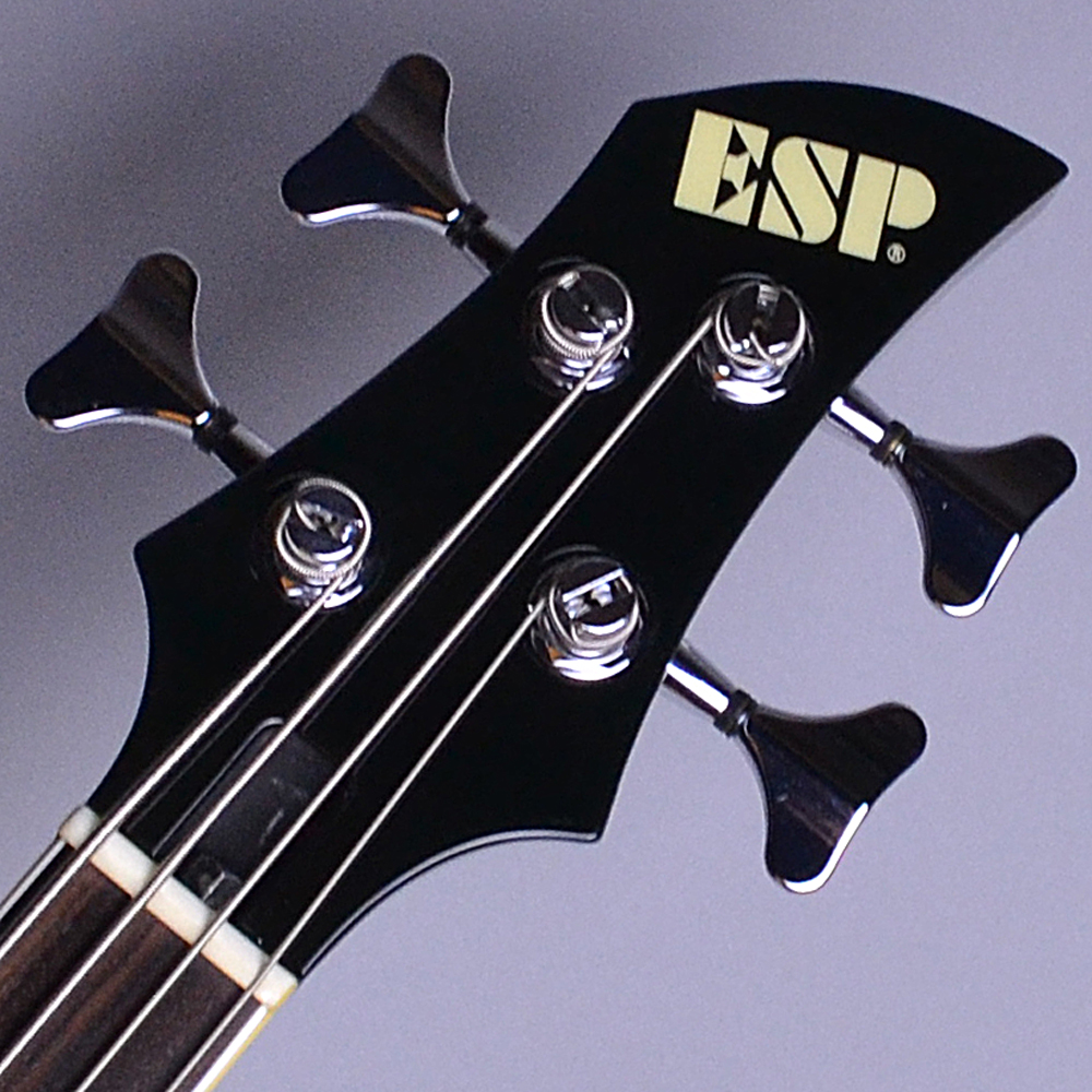 入荷情報】ESP – RF-00 Black(BK) Artist Series the GazettE REITA