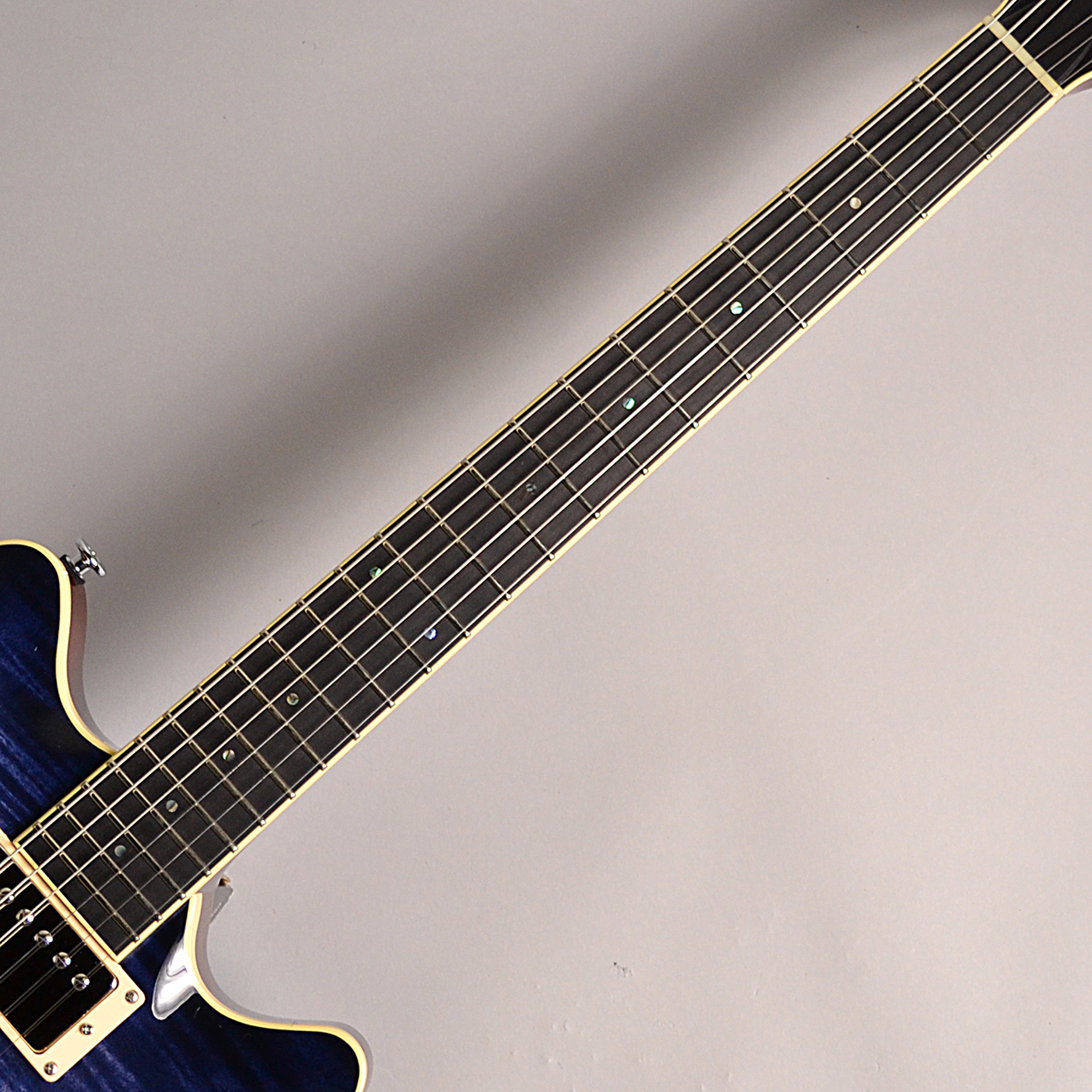 入荷情報】T's Guitars – Arc-STD/VS100N WhaleBlueBurst｜島村楽器