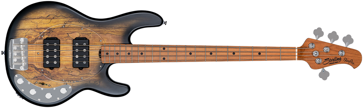 StingRay RAY34 HH Maple Top | Basses | Sterling by Music Man
