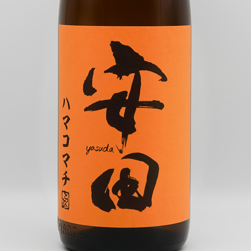 安田 ハマコマチ 1800ml｜焼酎専門店 - いそべ酒店