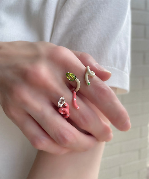 ベア・ボンジャスカ×アッシュ・ペー・フランス 40th リング