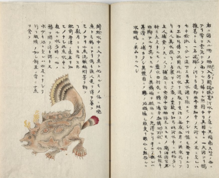 栗氏千虫譜 | 岩瀬文庫コレクション | 古書の博物館 西尾市岩瀬文庫