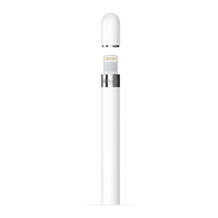 Apple アップル Apple Pencil 第1世代 USB-C アダプタつき MQLY3J/A