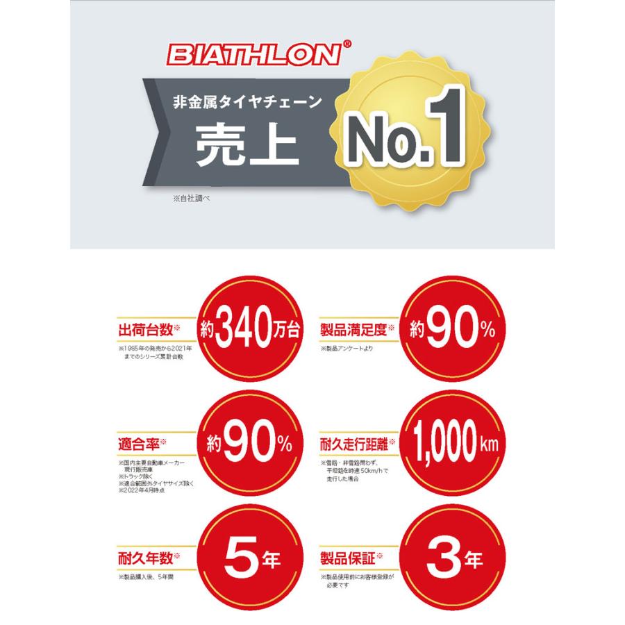 バイアスロン バイアスロン（公式）QE10 正規品 タイヤチェーン 非金属