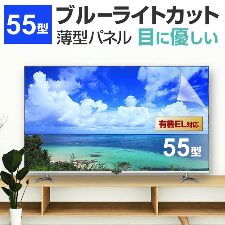 メディアフューチャー パナソニック VIERA TV-55Z95A [55インチ] 液晶