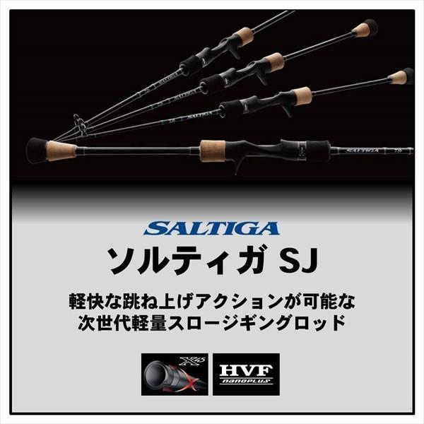 DAIWA（ダイワ） ソルティガ SJ(スロージギング) 61B-0(ベイト 1ピース
