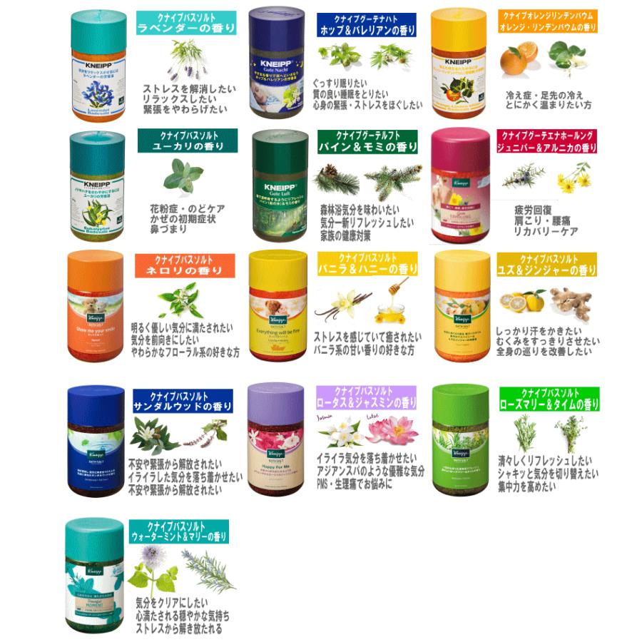 送料無料) クナイプ バスソルト850g 3個セット : くすりのチャンピオン