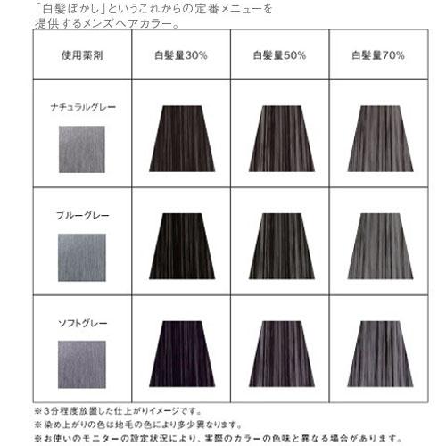 hoyu（ホーユー） カレンシアカラー ナチュラルグレー 80g 白髪ぼかし