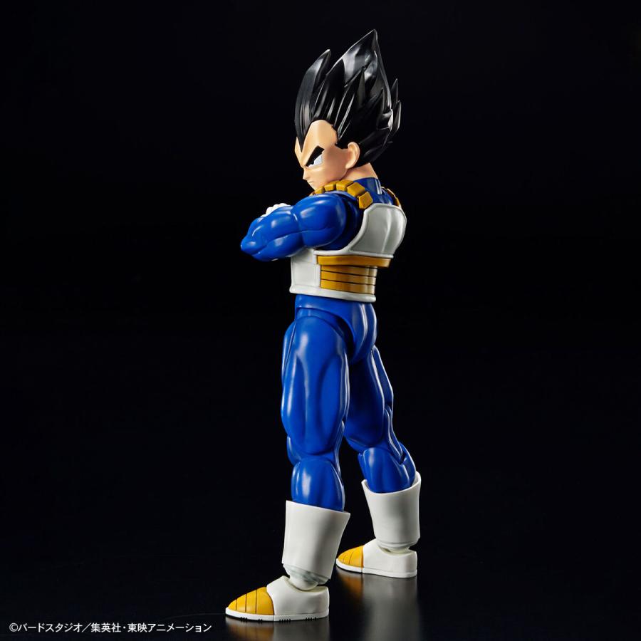BANDAI（バンダイ） バンダイスピリッツ 5065426 Figure-rise Standard