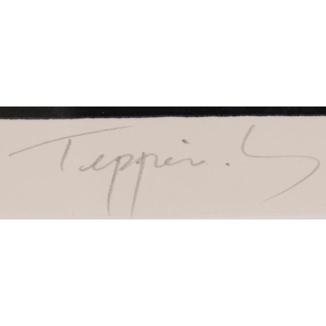 笹倉鉄平 ヴァイオリンの森に インテリア 絵画 シルクスクリーン 版画