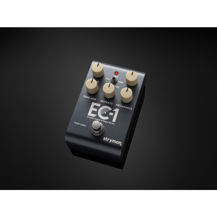 Strymon EC-1 ストライモン single head dTape echo テープエコー : 愛
