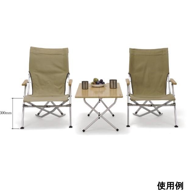 snow peak（スノーピーク） ローチェア30 カーキ LV-091KH キャンプ