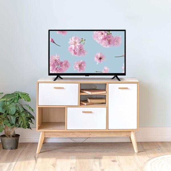 オリオン電気（ドウシシャ） テレビ 32型 液晶テレビ オリオン BASIC