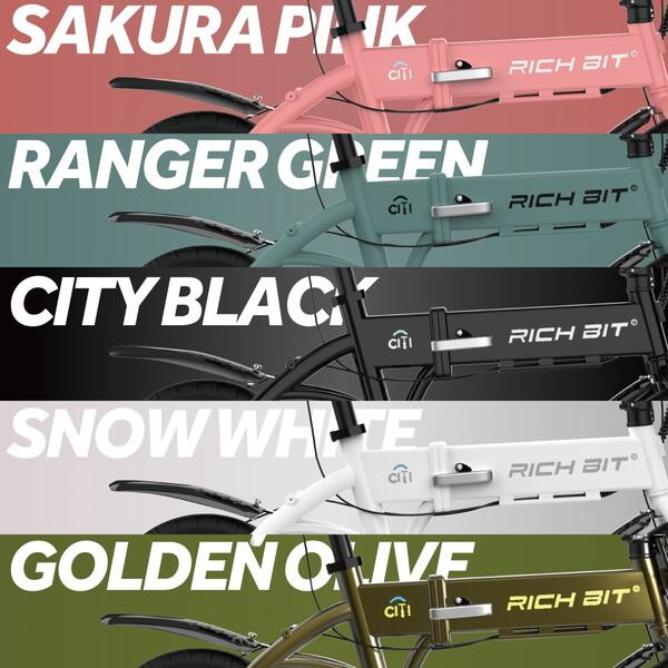 Acalie RICHBIT CITY ASSIST レンジャーグリーン 電動アシスト自転車
