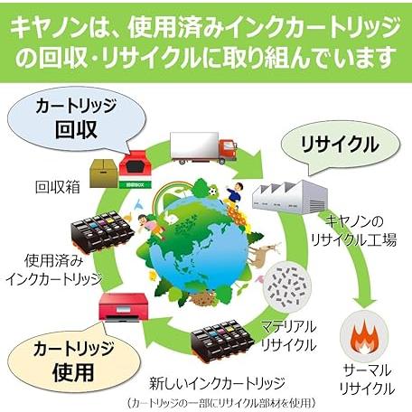 キヤノン（Canon） BCI-19BK キャノン 純正 インクカートリッジ 黒
