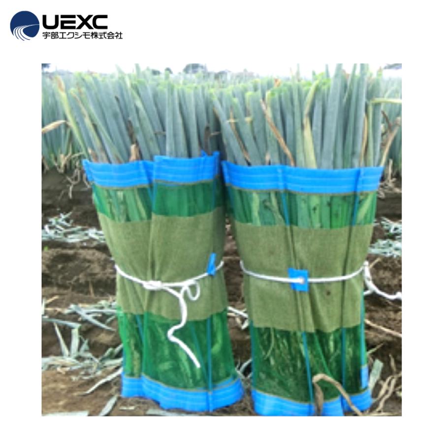 ねぎまきページ 楽天市場】【100%ポイントバック エントリー＆抽選2/25まで】25枚 ネギ