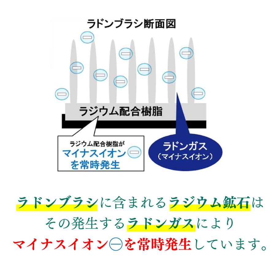 爆買 エナジーラドンブラシ ER-100C シャンプーブラシ 頭皮ケア 育毛