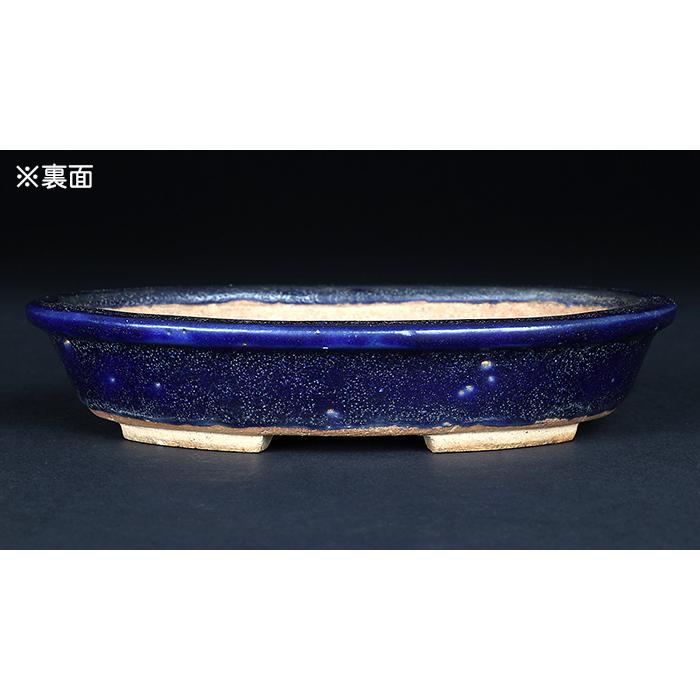 盆栽鉢 「東福寺瑠璃釉楕円鉢」 植木鉢 初代 平安東福寺 登窯 5号 15cm